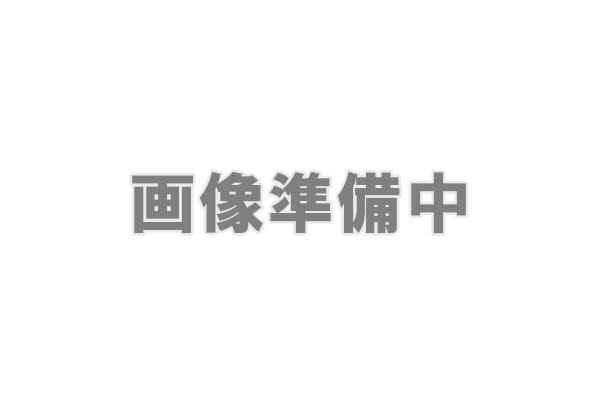 新品の菌糸イメージ