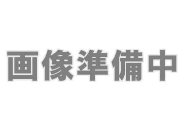 ウェムケンミヤマクワガタ幼虫