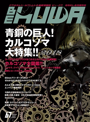 BE-KUWA　67号