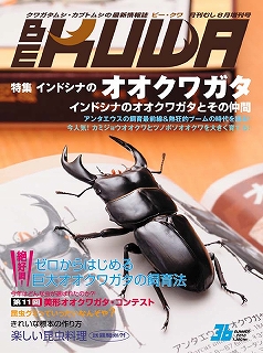 BE-KUWA　36号