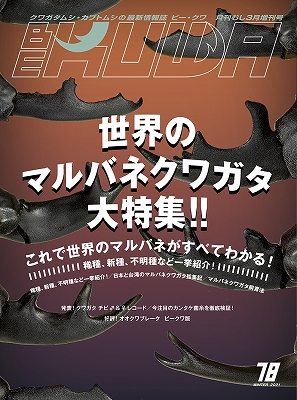 BE-KUWA　78号